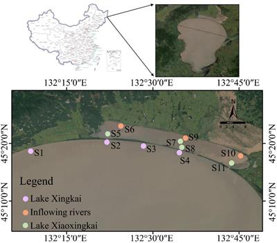 In situ, high-resolution evidence for the release of heavy metals from lake sediments during ice-covered and free periods